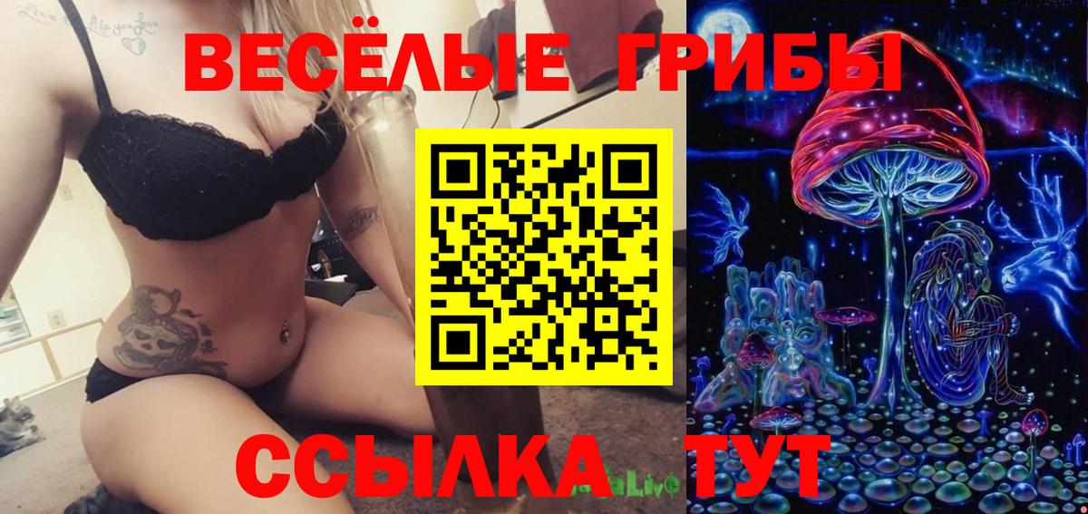 Галлюциногенные грибы Psilocybine cubensis  Вход с VPN  Псилоцибиновые грибы Psilocybe  Видное 