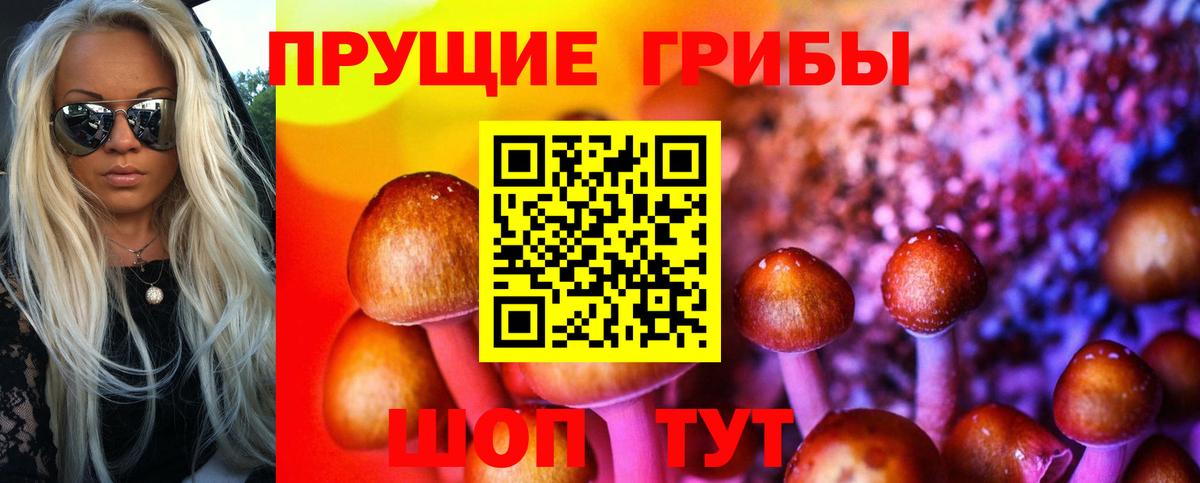 Галлюциногенные грибы ЛСД Видное